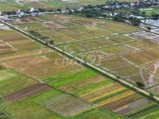 Đất nông nghiệp lớn gần chợ Hiệp Phước mới