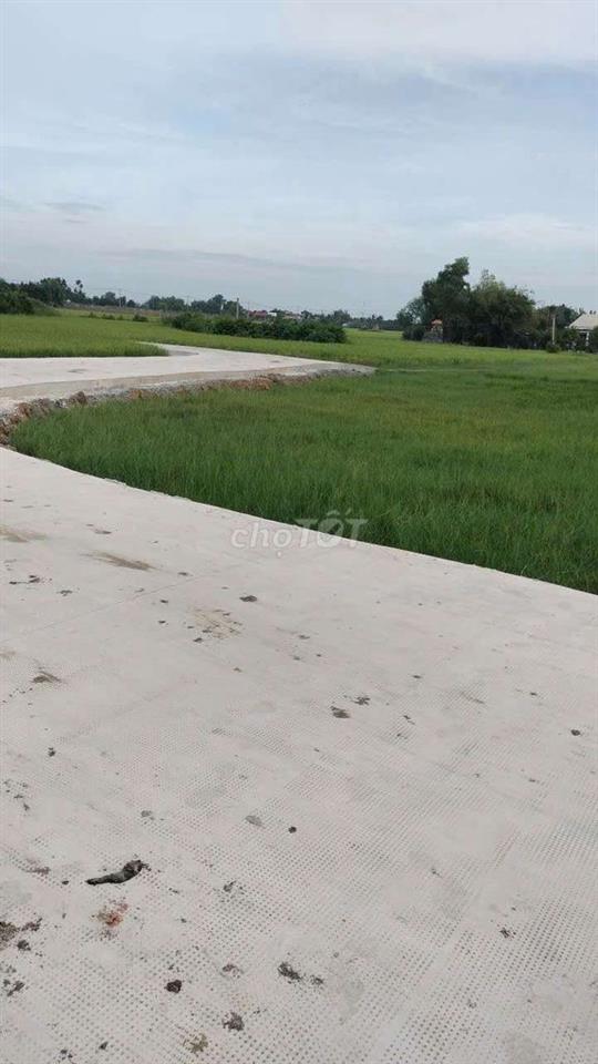 Bán đất 640m2 An Ninh Đông,có 200m2 thổ cư,đường bê tông 4m mới.