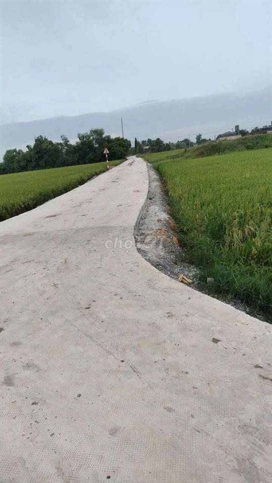 Bán đất 640m2 An Ninh Đông,có 200m2 thổ cư,đường bê tông 4m mới.