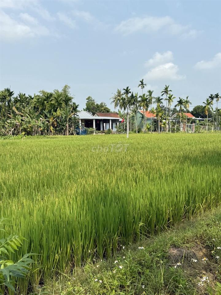Đất full đất ở giá đầu tư