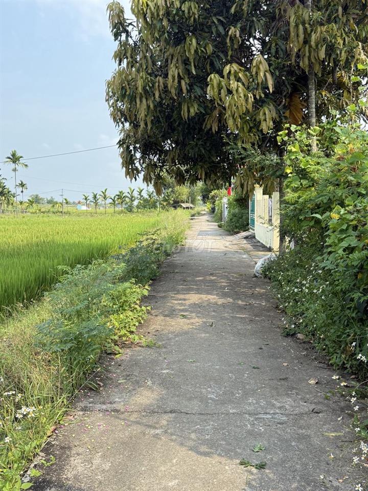 Đất full đất ở giá đầu tư