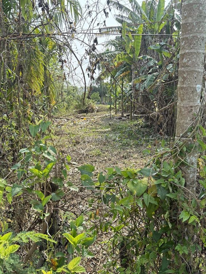 Đất full đất ở giá đầu tư