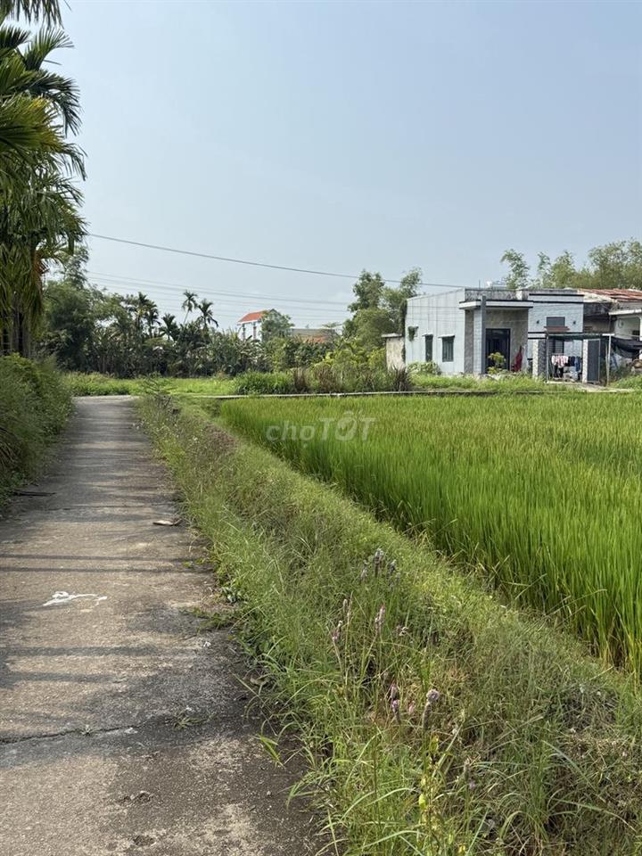 Đất full đất ở giá đầu tư