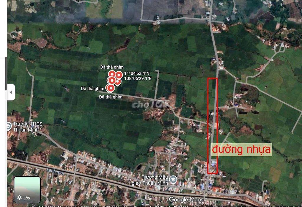 Chính chủ - Đất nông nghiệp sổ riêng 2324m2 cần bán thu hồi vốn