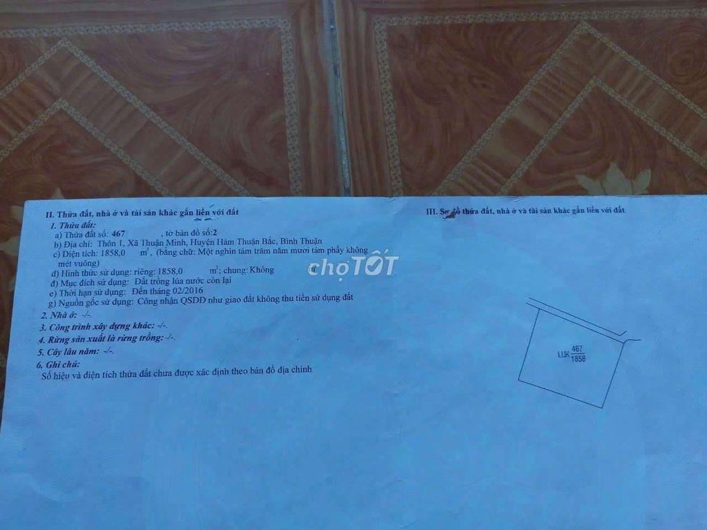 Chính chủ - Đất nông nghiệp sổ riêng 2324m2 cần bán thu hồi vốn