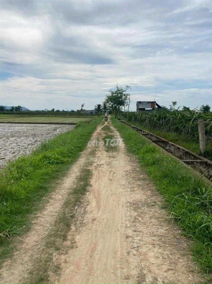 Chính chủ - Đất nông nghiệp sổ riêng 2324m2 cần bán thu hồi vốn