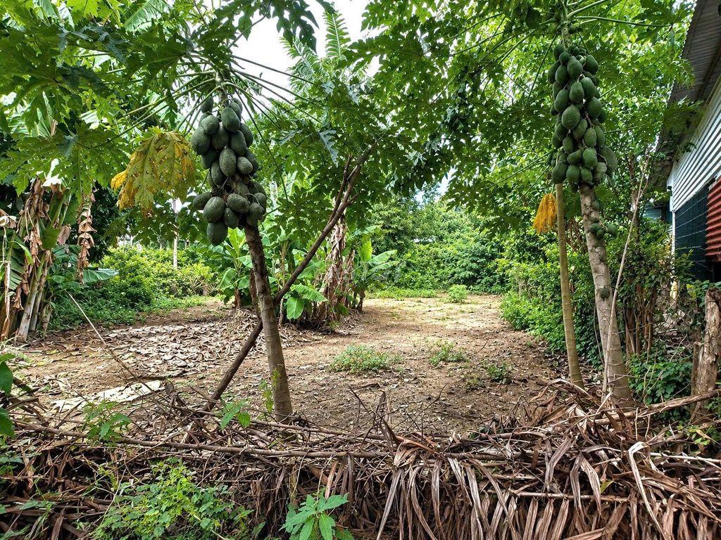 cần bán gấp
