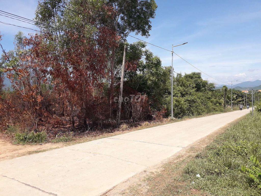 ĐẤT CẦN BÁN