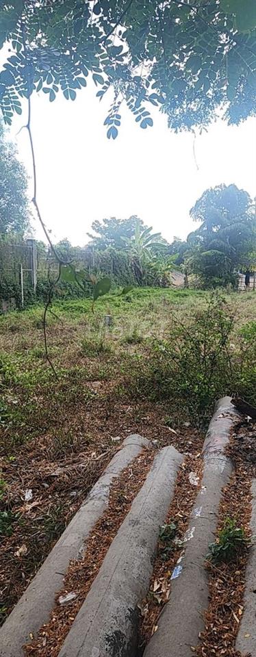 Đất Mặt tiền kênh