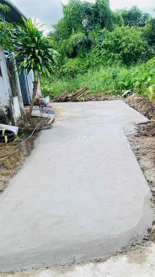 Nhà nguyên căn 100m2 5x20