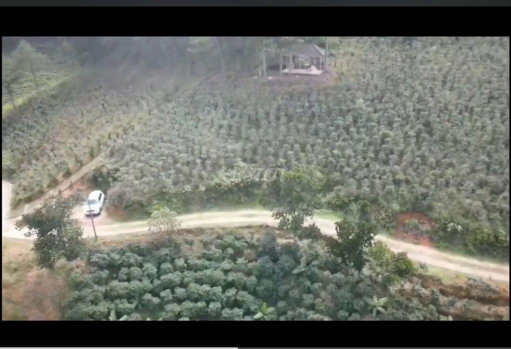 Phường 7, Dalat