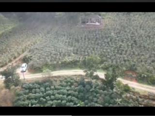 Phường 7, Dalat