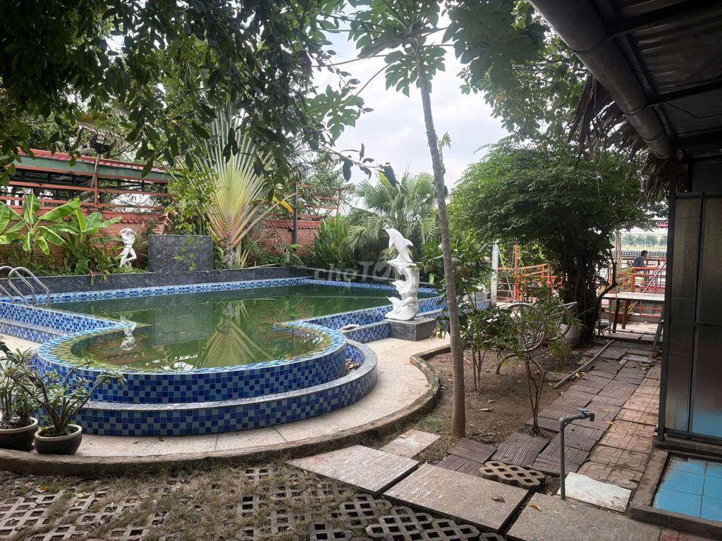 Phòng CHDV view Sông có hồ bơi 