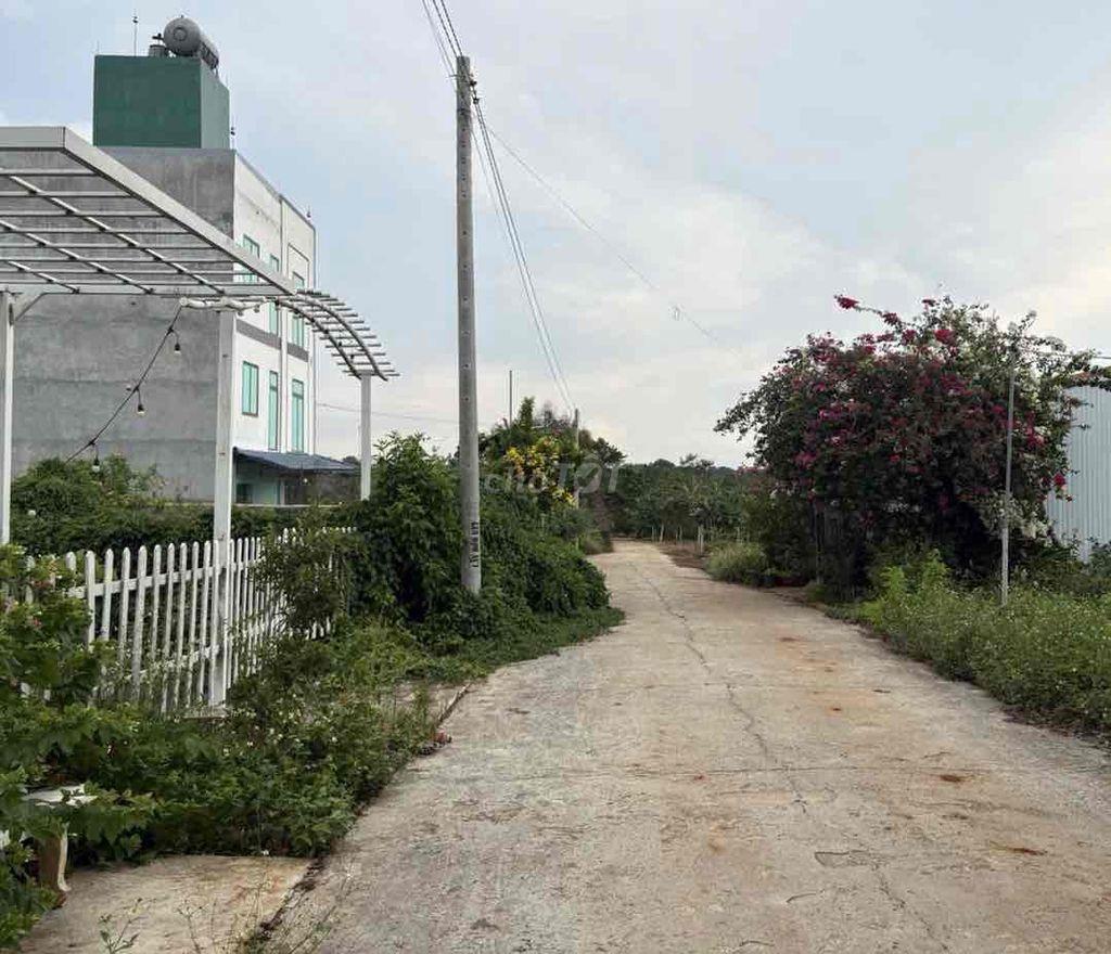 Bán đất