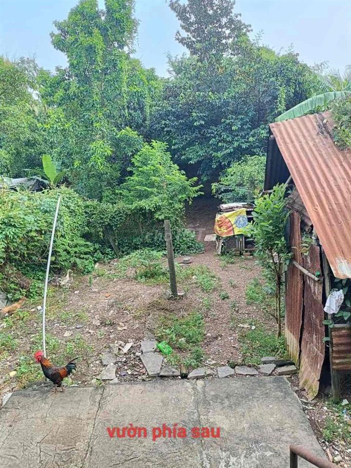 Bán nhà trung tâm Phường Trị An