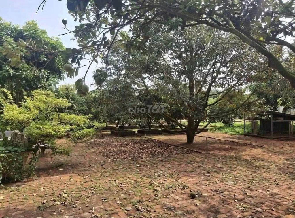 ĐẤT CHÍNH CHỦ BÁN – KHÔNG QUA MÔI GIỚI