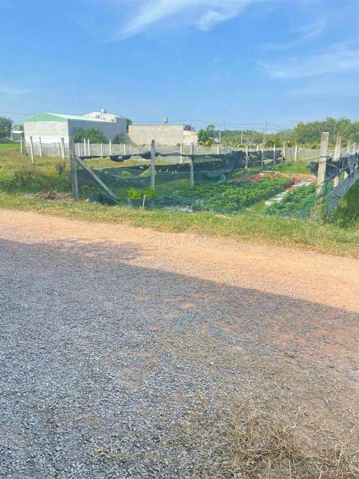 Phường Tân An Hội mặt tiền đường Lê Thị Vui 120m2 giá ngộp 1ty050
