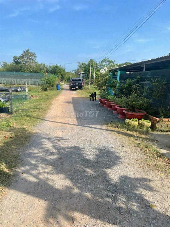 Phường Tân An Hội mặt tiền đường Lê Thị Vui 120m2 giá ngộp 1ty050