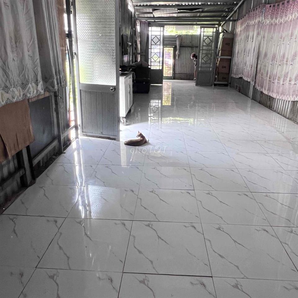 Nhà cho thuê diện tích rộng