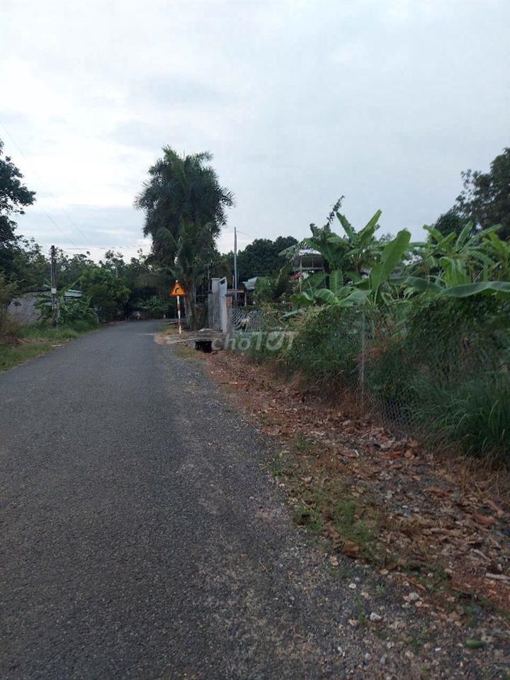BÁN ĐẤT XÃ LAI HƯNG, BÀU BÀNG – 163M² – CÓ 50M² THỔ CƯ – SỔ RIÊNG