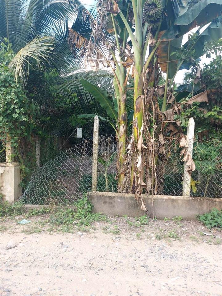 Đất nền chính chủ