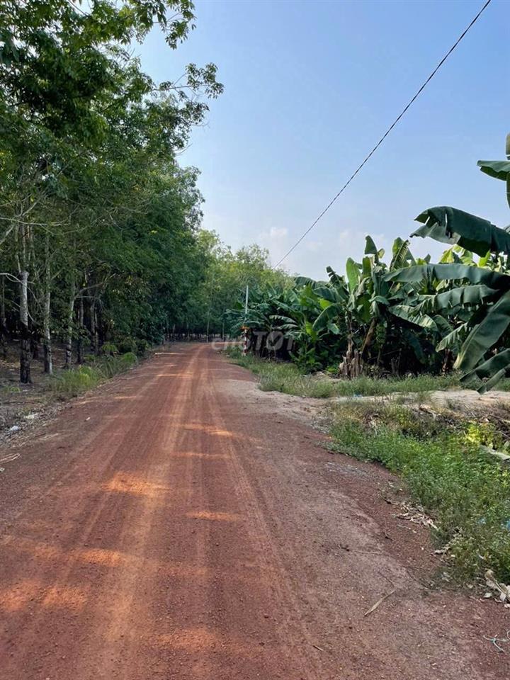 Đất cạnh khu công nghiệp TTC, Tân Hội, Tân Châu, Tây Ninh, 3ha cần bán
