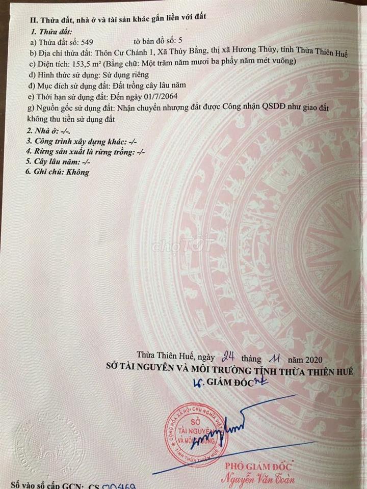 Cần tiền bán lố đất khu vực Cư Chánh 1 (Sau lưng chùa Đức Sơn)