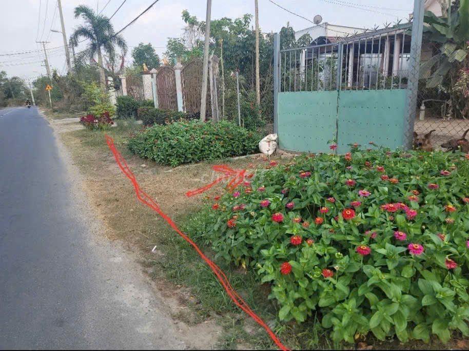 CHÍNH CHỦ BÁN ĐẤT ĐẤT CỦ CHI -  MẢNH ĐẤT SỐ 13 BÀU LÁCH
