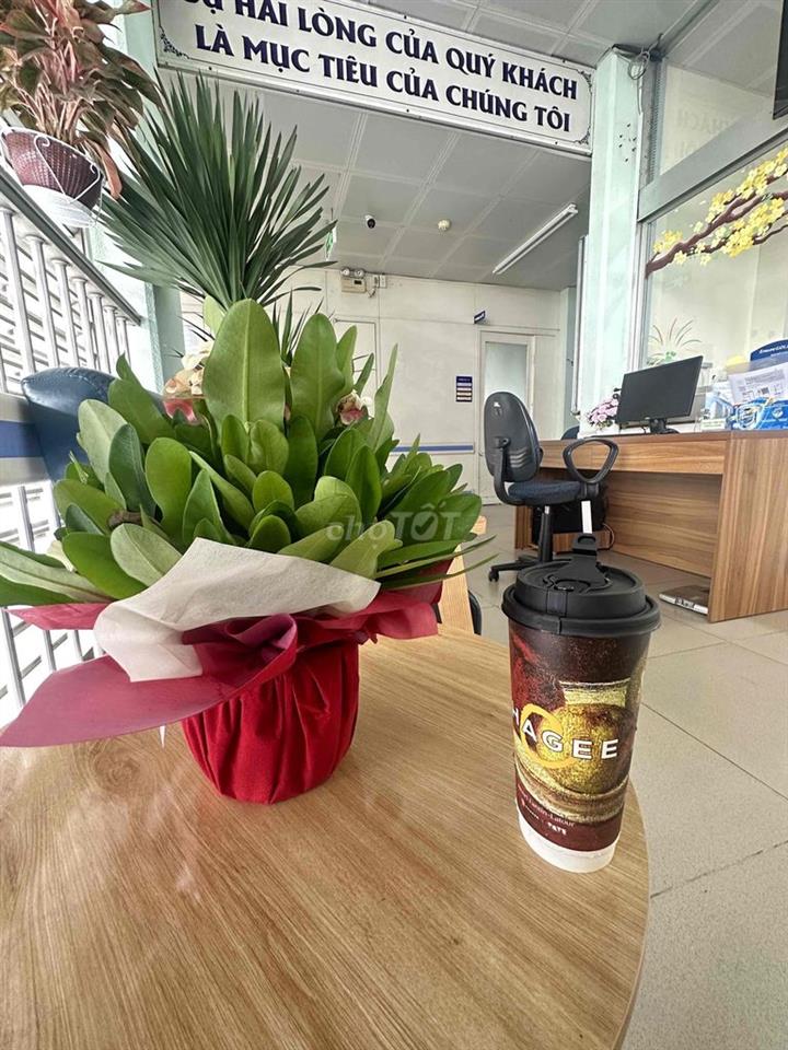 cho thuê phòng có bancon sân thượng riêng biệt