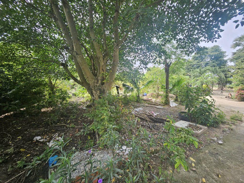 🏡 𝐁Á𝐍 ĐẤ𝐓 𝐕ƯỜ𝐍 𝐁Ì𝐍𝐇 𝐂𝐇Á𝐍𝐇 (Xã Tân Kiên, Gần đại học Y Phạm Ngọc Thạch)