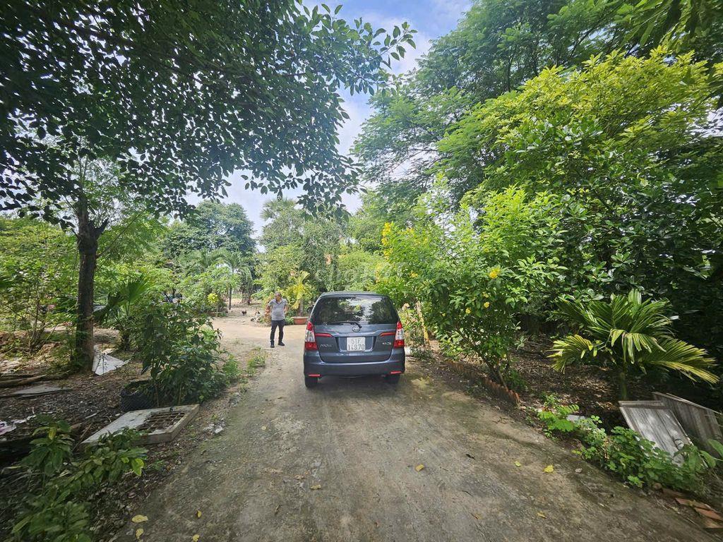 🏡 𝐁Á𝐍 ĐẤ𝐓 𝐕ƯỜ𝐍 𝐁Ì𝐍𝐇 𝐂𝐇Á𝐍𝐇 (Xã Tân Kiên, Gần đại học Y Phạm Ngọc Thạch)