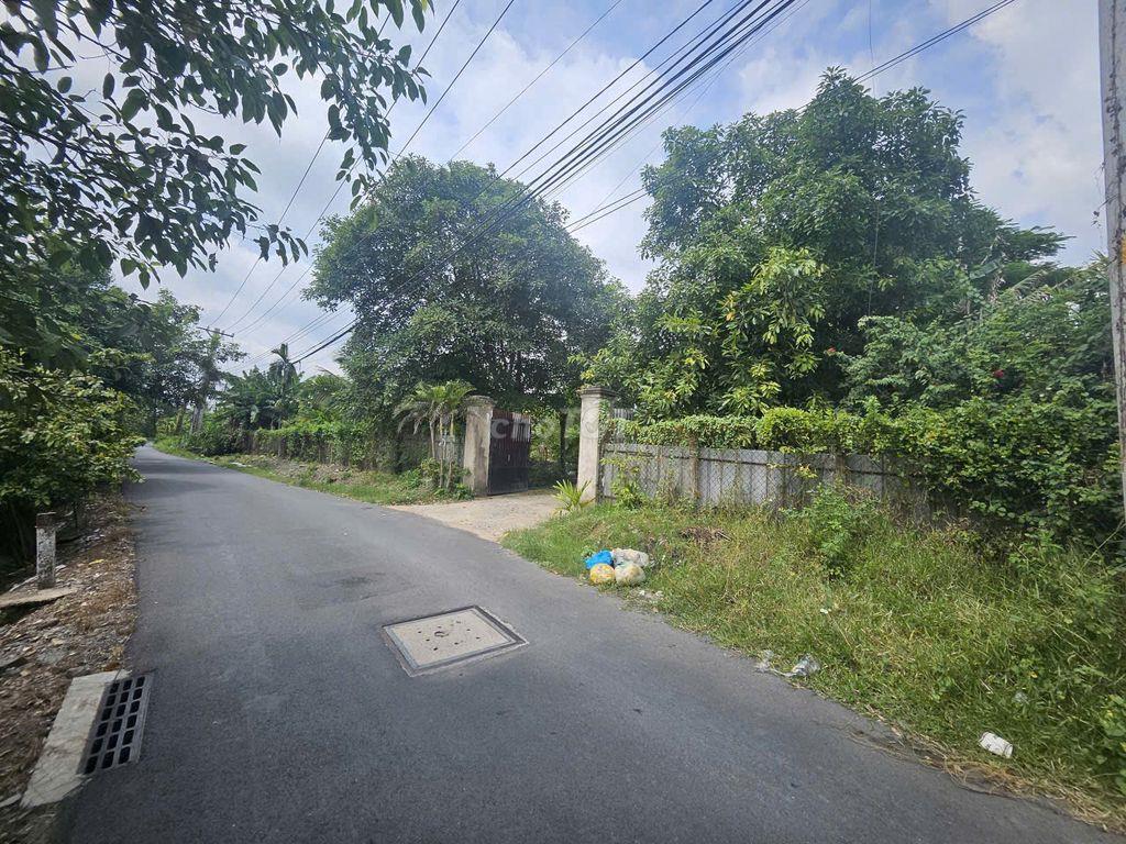 🏡 𝐁Á𝐍 ĐẤ𝐓 𝐕ƯỜ𝐍 𝐁Ì𝐍𝐇 𝐂𝐇Á𝐍𝐇 (Xã Tân Kiên, Gần đại học Y Phạm Ngọc Thạch)
