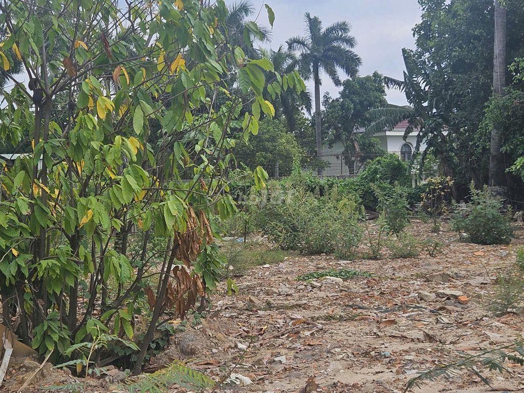 🏡 𝐁Á𝐍 ĐẤ𝐓 𝐕ƯỜ𝐍 𝐁Ì𝐍𝐇 𝐂𝐇Á𝐍𝐇 (Xã Tân Kiên, Gần đại học Y Phạm Ngọc Thạch)