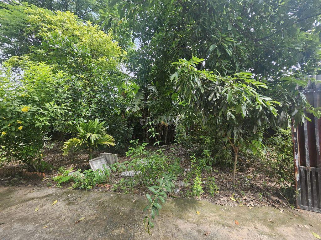 🏡 𝐁Á𝐍 ĐẤ𝐓 𝐕ƯỜ𝐍 𝐁Ì𝐍𝐇 𝐂𝐇Á𝐍𝐇 (Xã Tân Kiên, Gần đại học Y Phạm Ngọc Thạch)