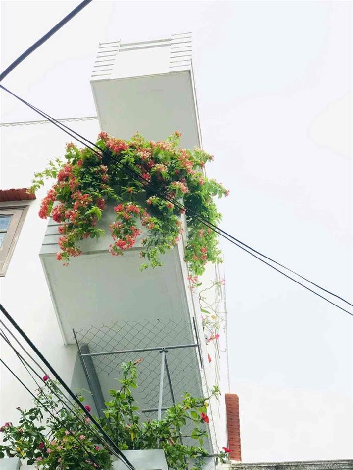 Nhà kiệt ô tô đường Võ Văn Tần cho gia đình thuê lâu dài