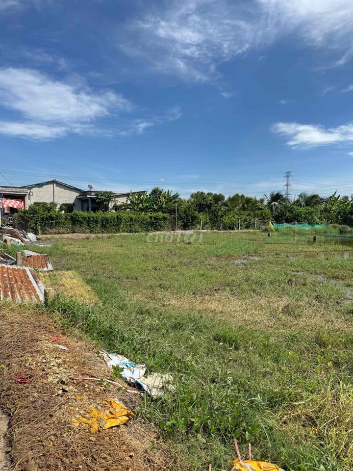 🏡 CHÍNH CHỦ BÁN ĐẤT THỔ CƯ 125m² – VỊ TRÍ ĐẸP TRUNG TÂM XÃ TÂN TRỤ, TỈ