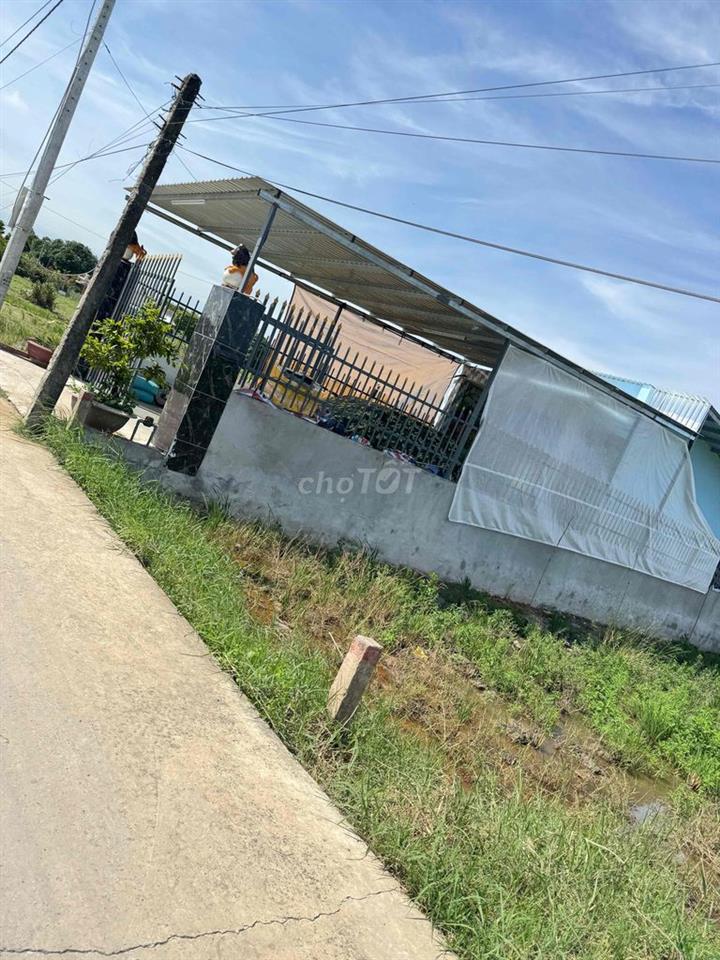 🏡 CHÍNH CHỦ BÁN ĐẤT THỔ CƯ 125m² – VỊ TRÍ ĐẸP TRUNG TÂM XÃ TÂN TRỤ, TỈ