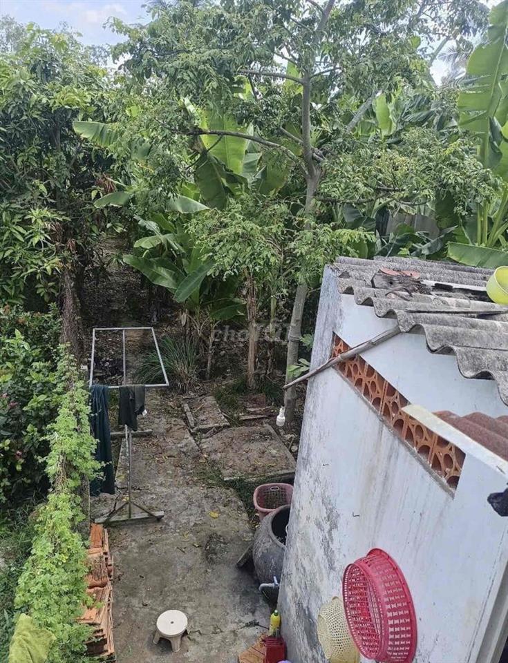 CHÍNH CHỦ BÁN ĐẤT THỔ CƯ LỖ 300 Triệu