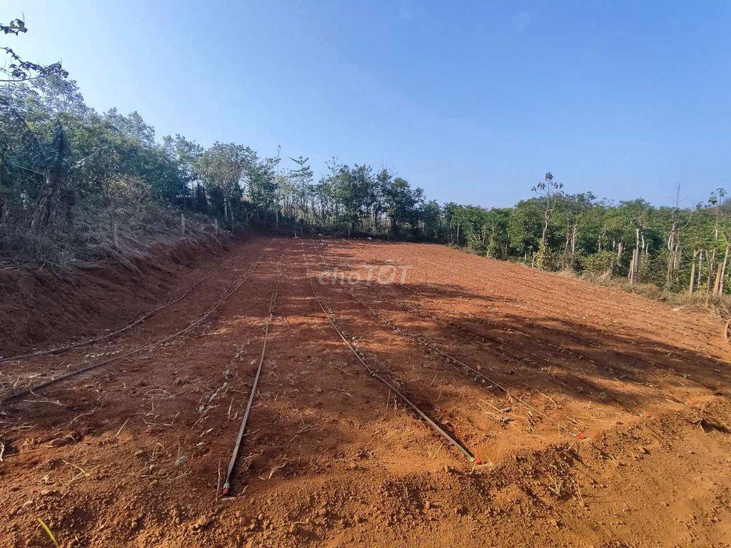Đất thổ cư rẻ bèo