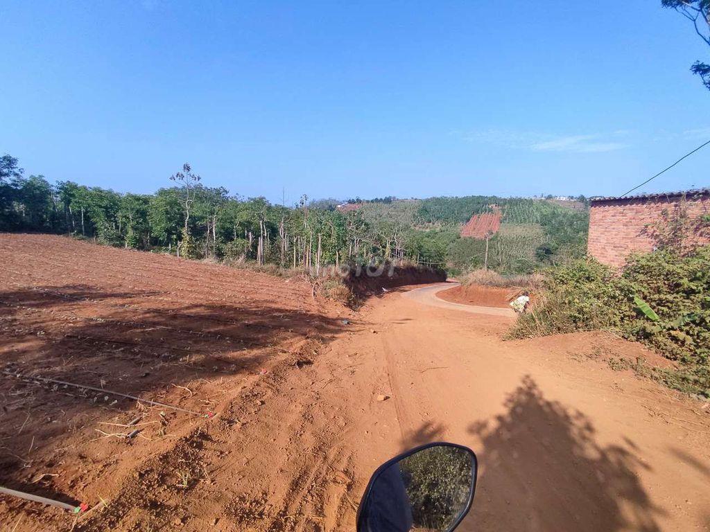 Đất thổ cư rẻ bèo