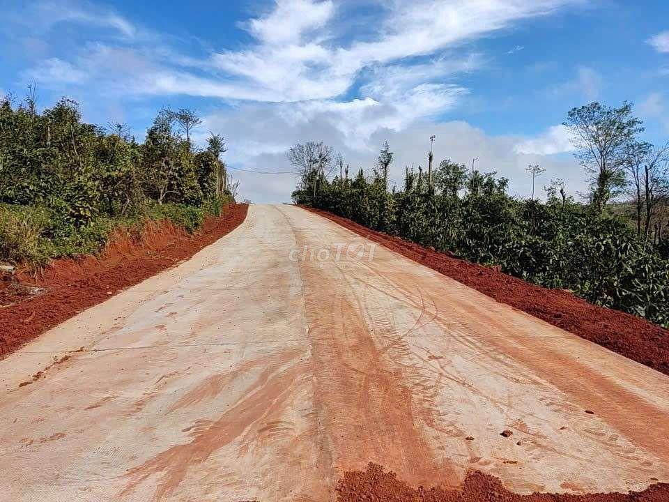 Đất thổ cư rẻ bèo