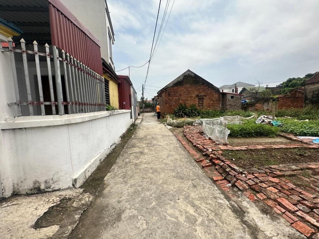 BÁN ĐẤT HÒA ĐAM – THƯỢNG HỒNG – MỸ HÀO