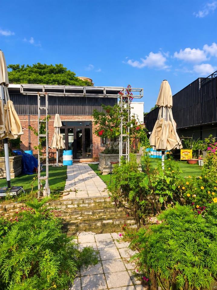 🔥 CHO THUÊ QUÁN CAFE CÓ SẴN & LÔ ĐẤT LIỀN KỀ – BẠCH ĐẰNG 🔥