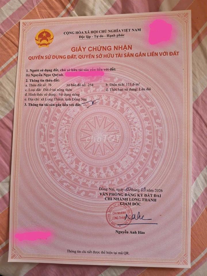 ĐẤT DÀNH CHO NHÀ ĐẦU TƯ