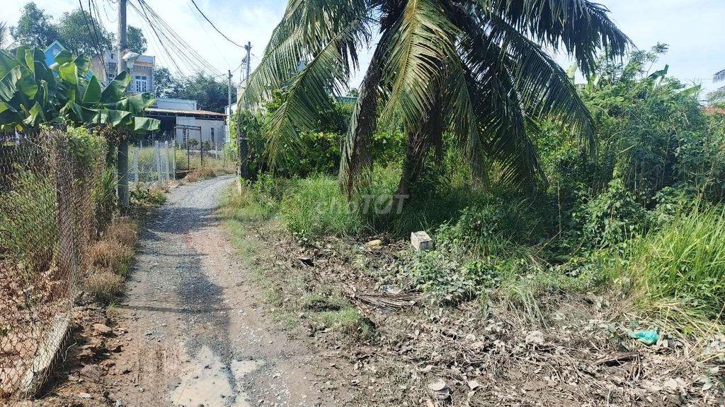 nhà+đất 1169m2 có 300m2 đất ở.SHR
