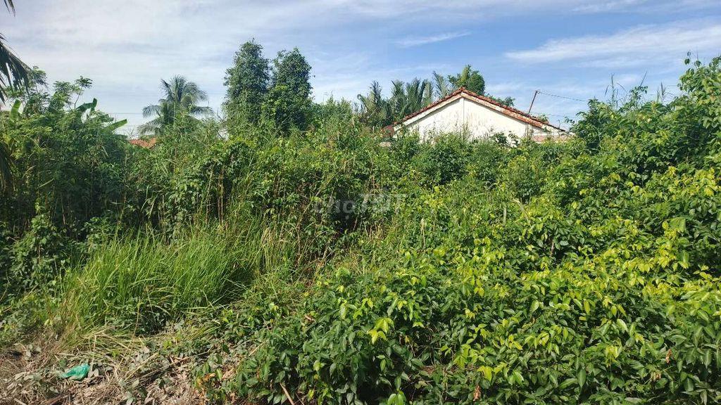 nhà+đất 1169m2 có 300m2 đất ở.SHR