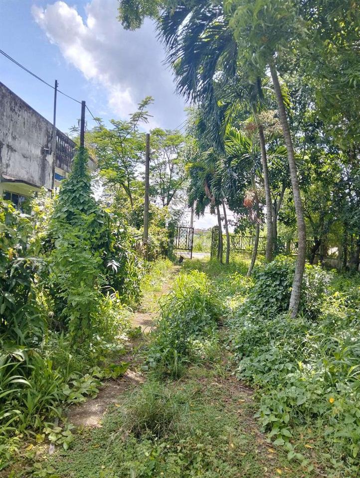 Biệt thự kiểu xưa