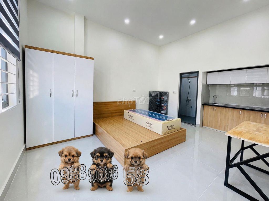 Phòng trọ mới mùa sinh viên