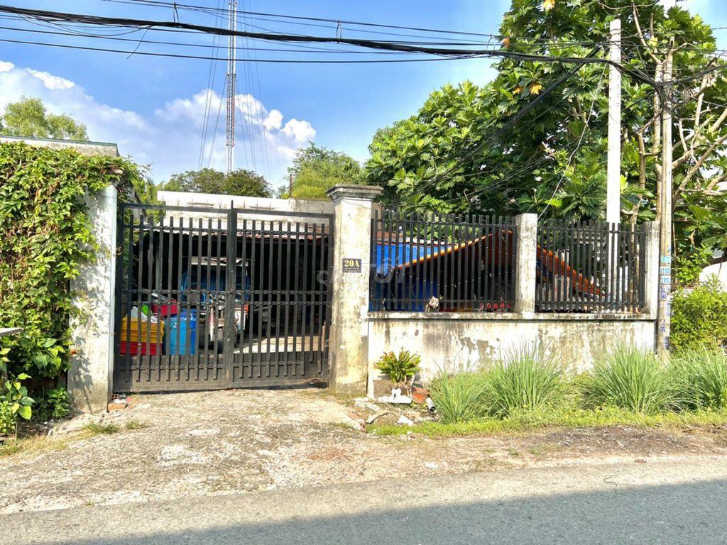 Dòng tiền 9tr5/th đất FULL thổ, chợ Việt Kiều, Tân Thông Hội,  Củ Chi