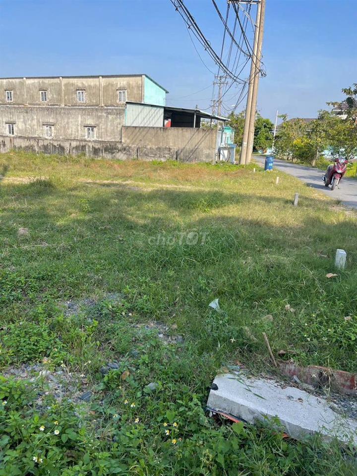 ĐÁT CỦ CHI MẶT TIỀN ĐƯỜNG NHỰA